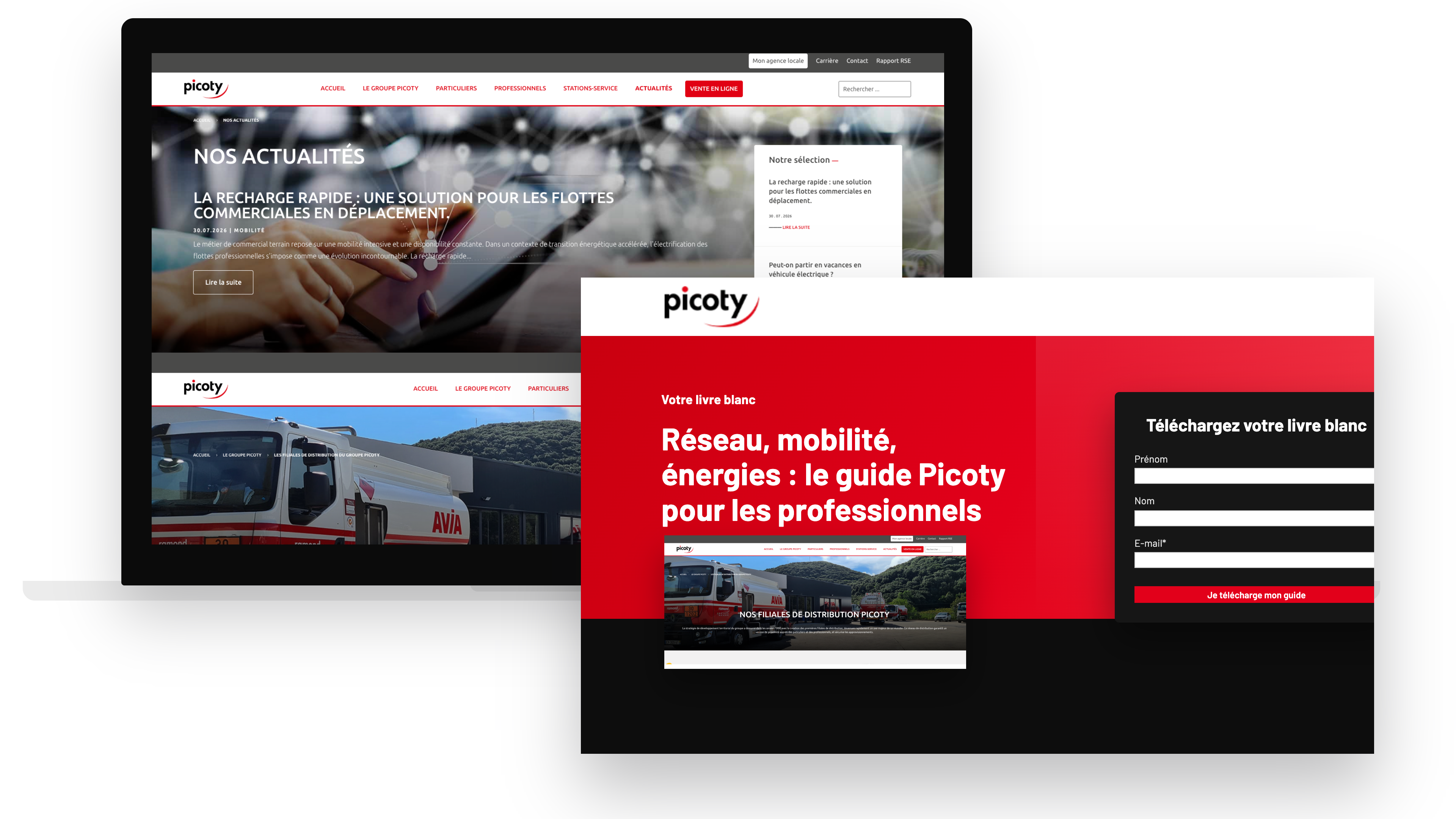 mockup-picoty-2